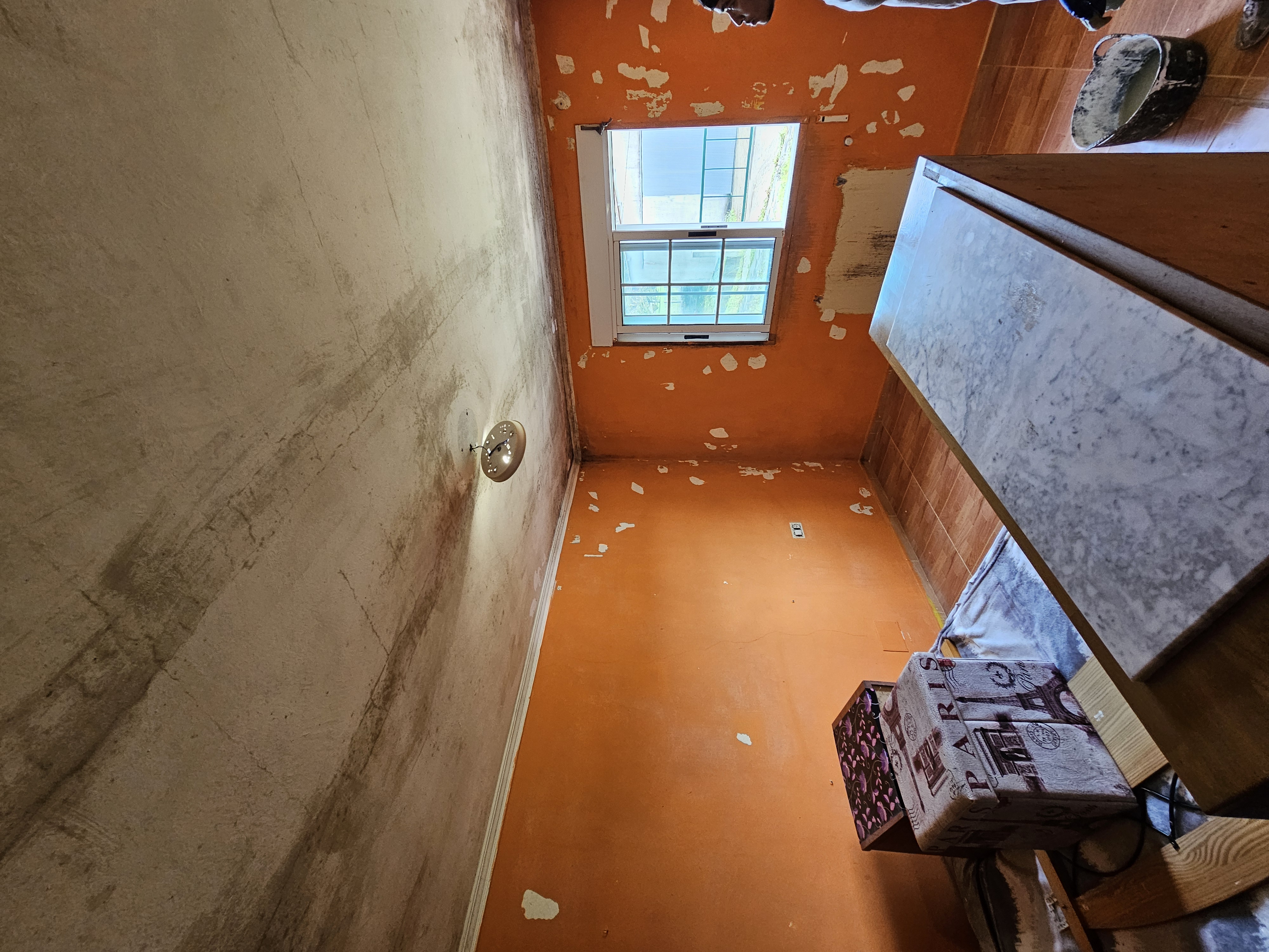 Empresa Pinturas Alex 